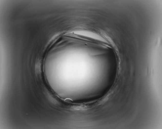 X0000086260106200704122017