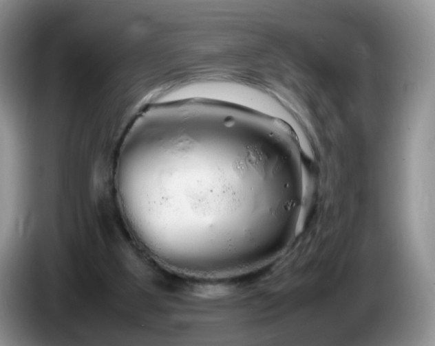 X0000086260107200704122017