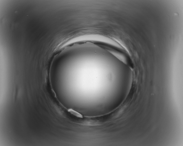 X0000086260109200704122017