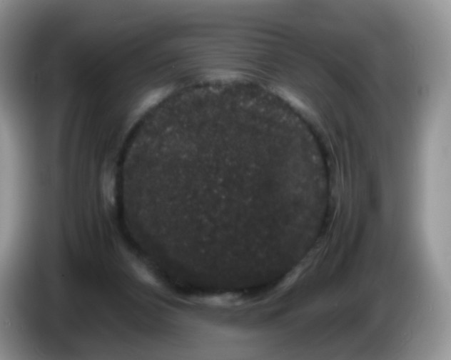 X0000086260112200704122017