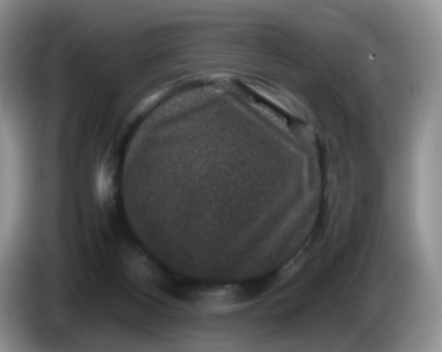 X0000086260116200704122017