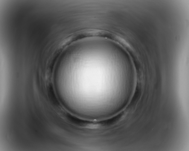 X0000086260119200704122017