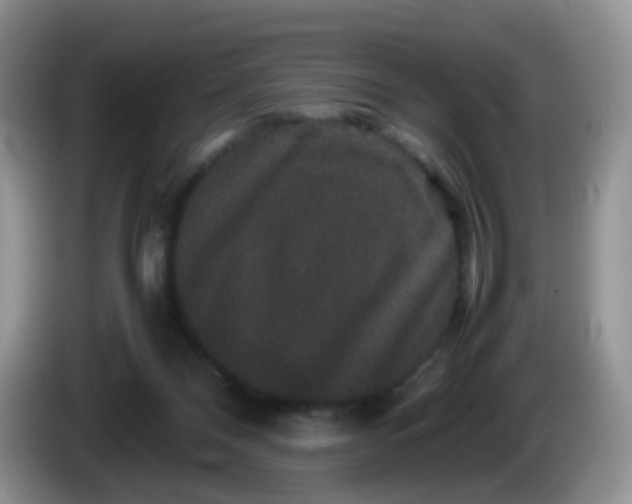 X0000086260120200704122017