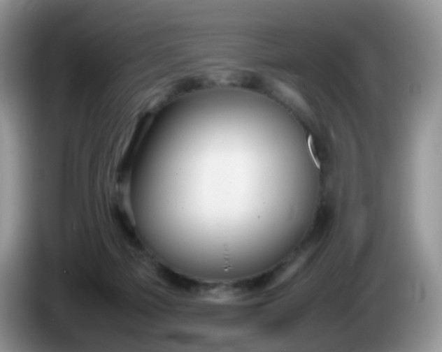 X0000086260121200704122017