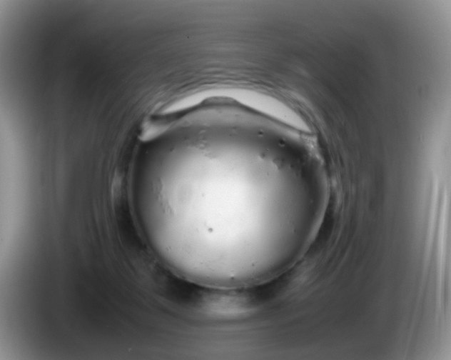 X0000086260123200704122017