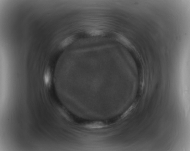 X0000086260124200704122017