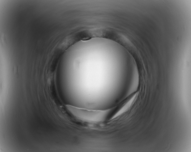 X0000086260125200704122017