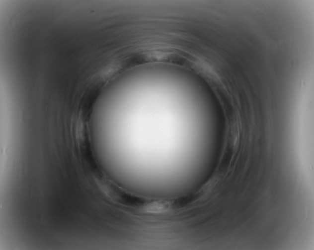 X0000086260126200704122017