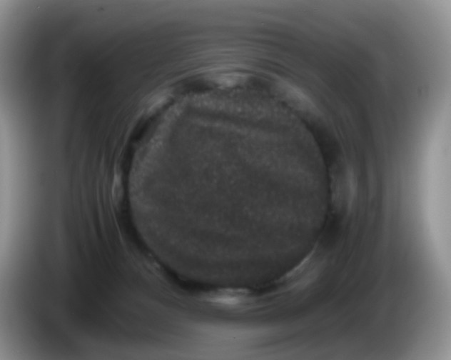 X0000086260128200704122017