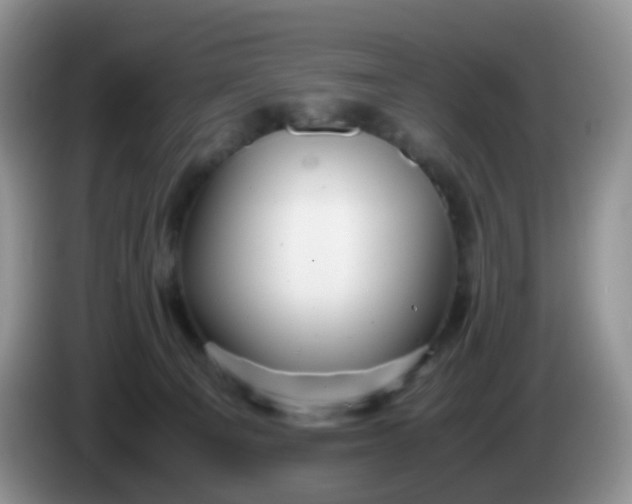 X0000086260129200704122017