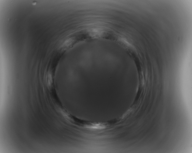 X0000086260130200704122017