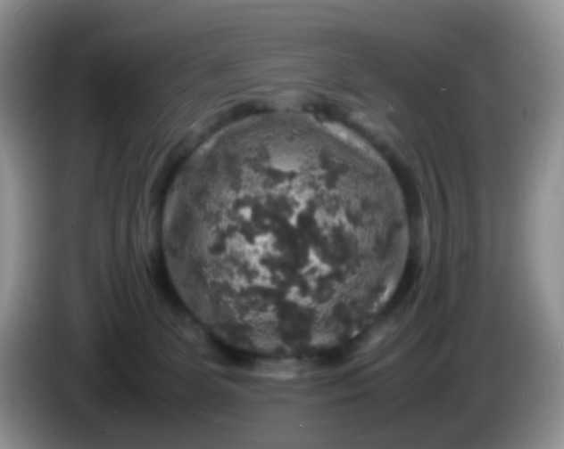 X0000086260131200704122017