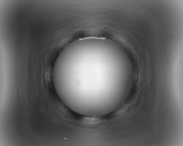 X0000086260133200704122017
