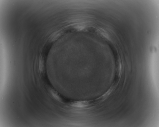 X0000086260136200704122017