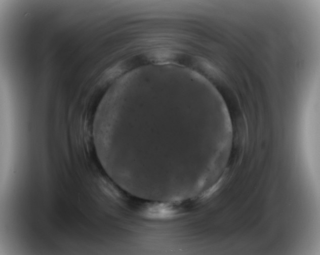 X0000086260140200704122017