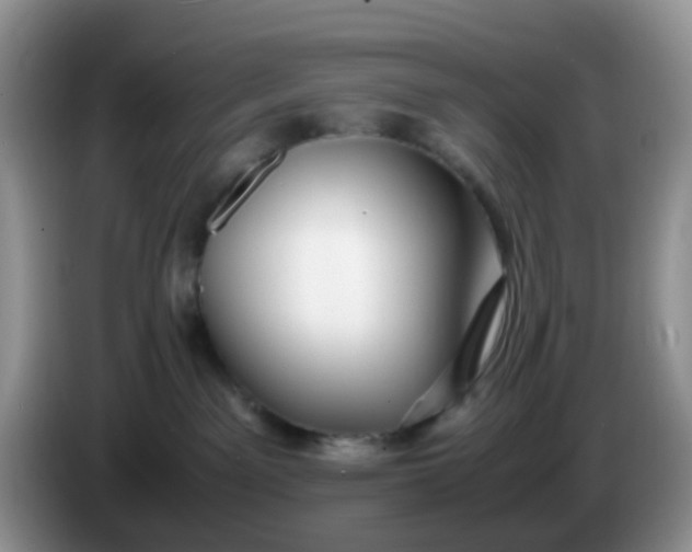 X0000086260141200704122017