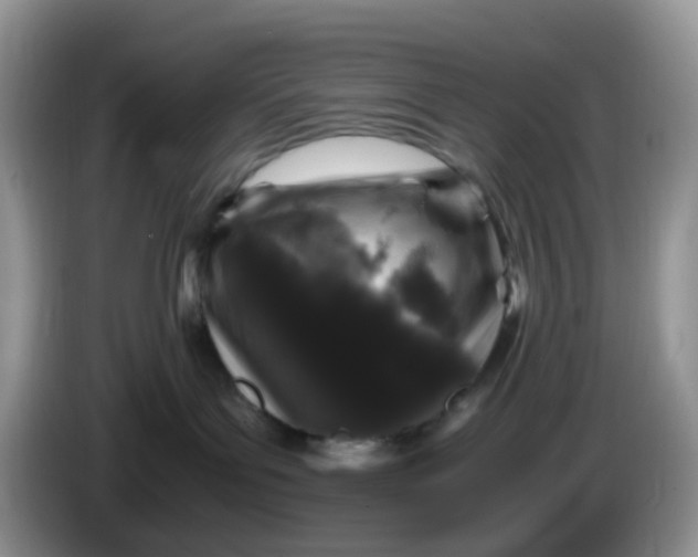 X0000086260143200704122017