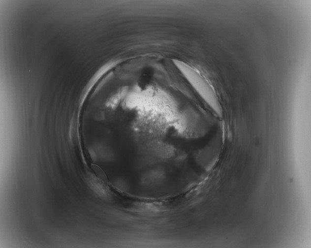 X0000086260147200704122016