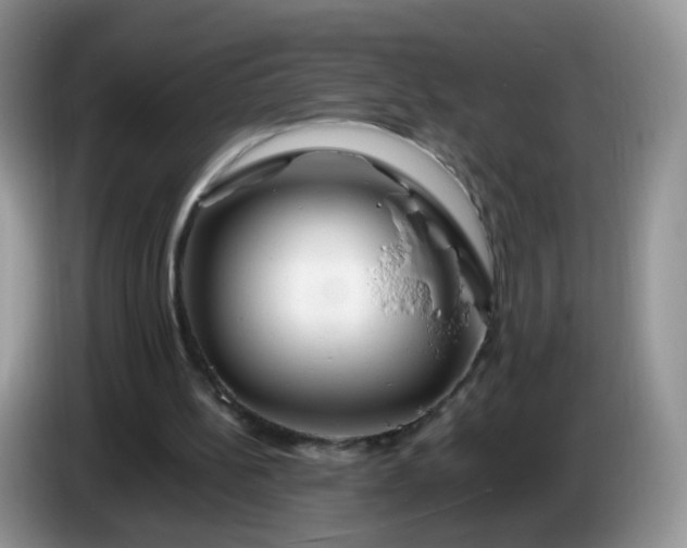 X0000086260148200704122016
