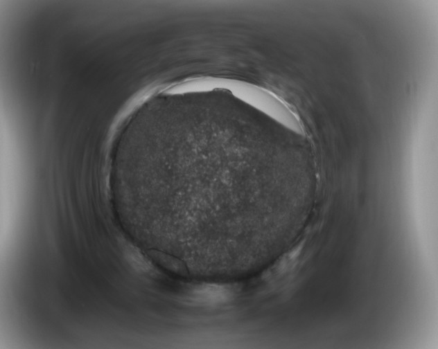 X0000086260149200704122016