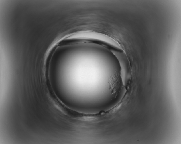 X0000086260150200704122016