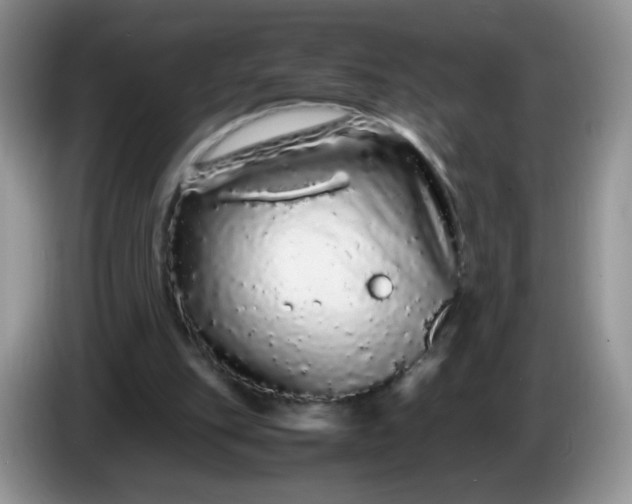 X0000086260151200704122016
