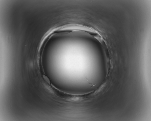 X0000086260152200704122016