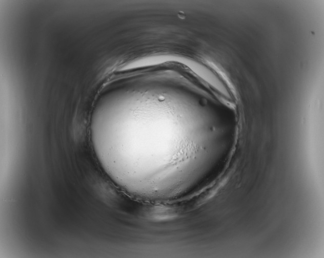X0000086260153200704122016