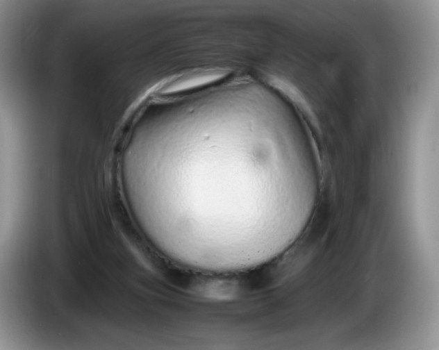 X0000086260155200704122016