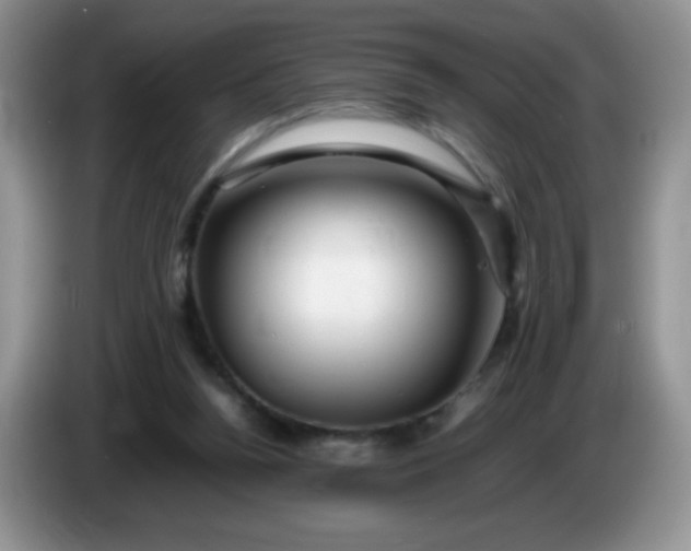 X0000086260160200704122016