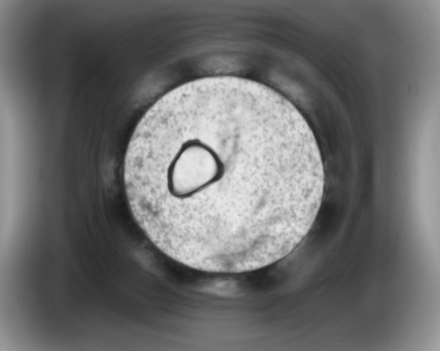 X0000086260162200704122016