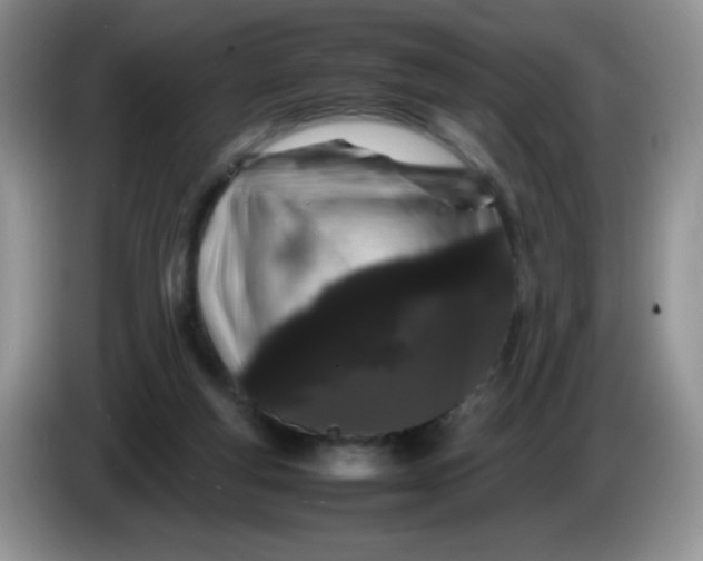 X0000086260163200704122016