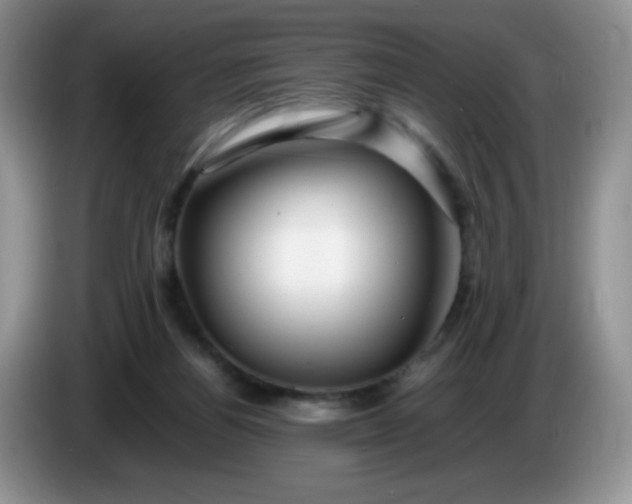 X0000086260164200704122016
