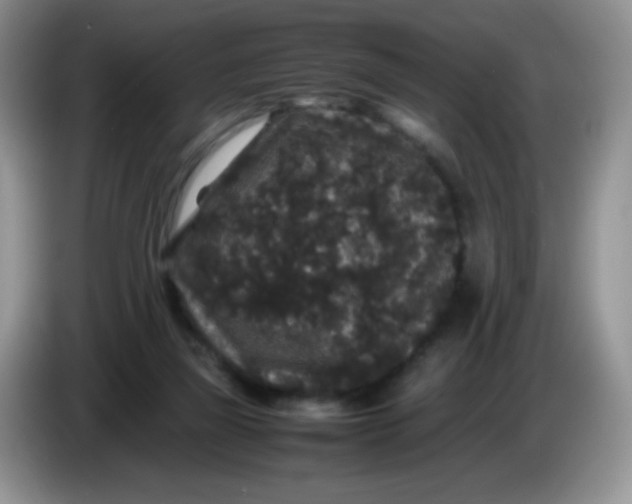 X0000086260165200704122016