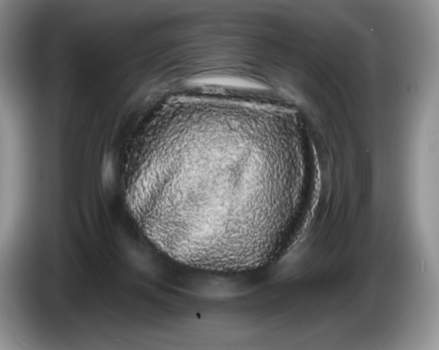 X0000086260166200704122016