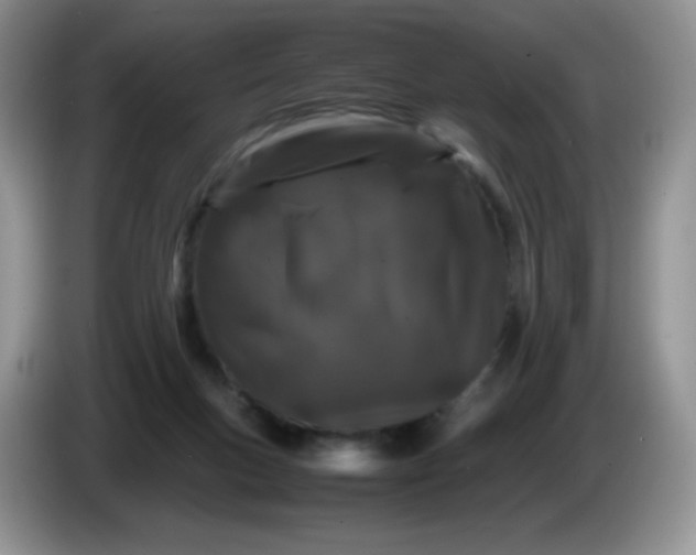 X0000086260167200704122016