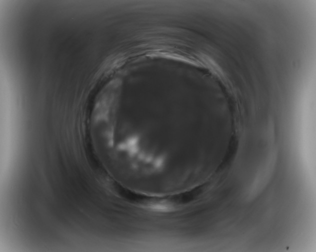 X0000086260169200704122016
