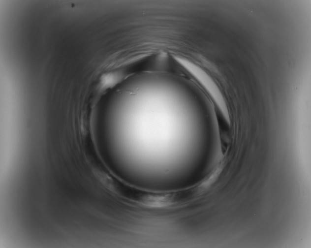 X0000086260170200704122016