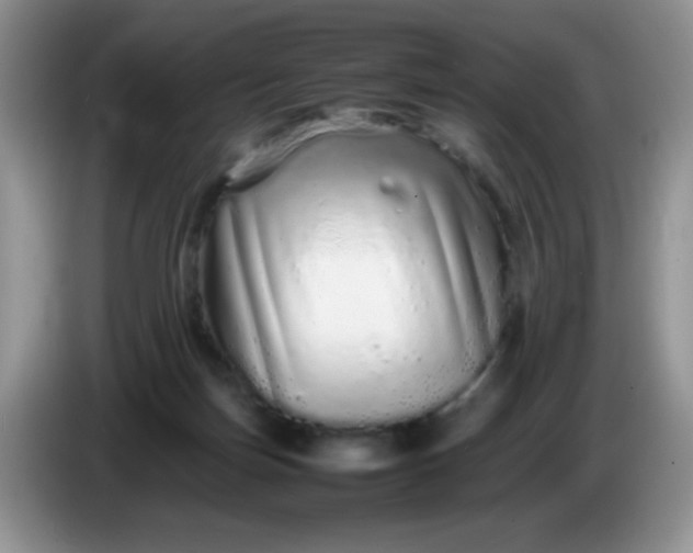 X0000086260171200704122016