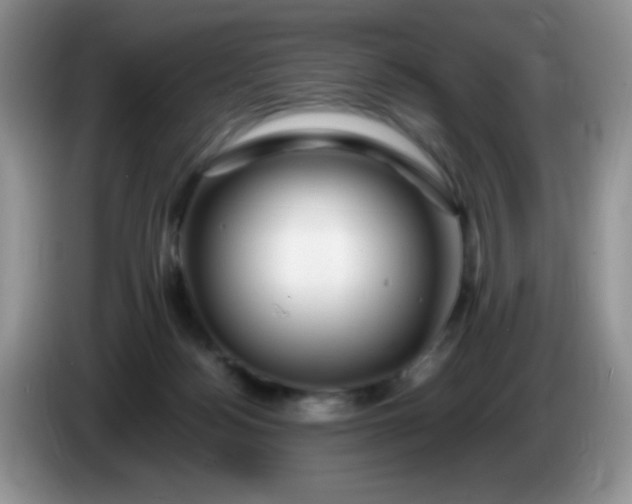 X0000086260172200704122016