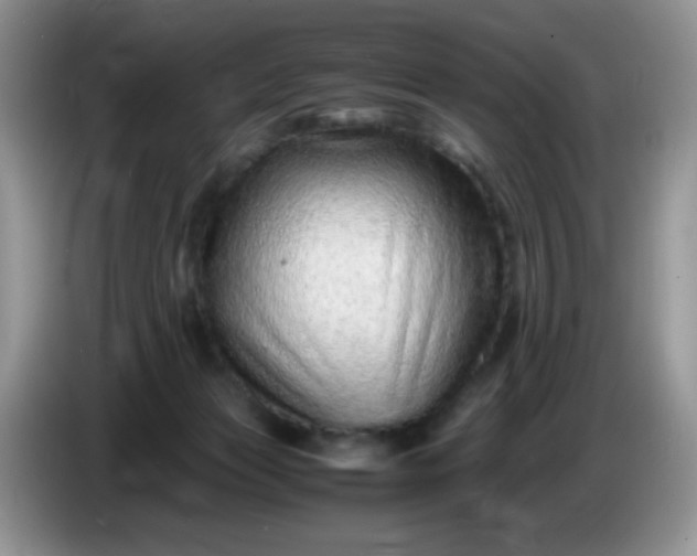 X0000086260173200704122016