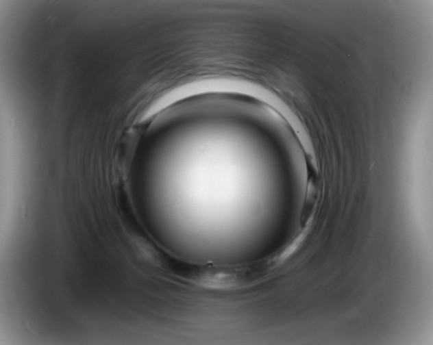 X0000086260174200704122016