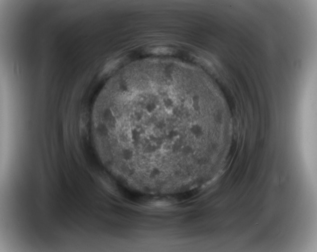 X0000086260175200704122016