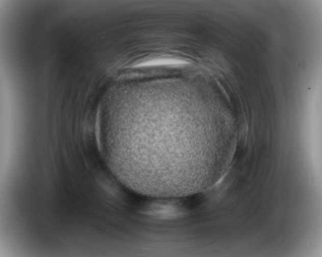 X0000086260179200704122017
