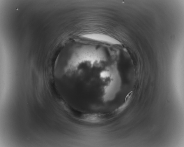 X0000086260182200704122017