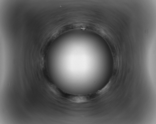 X0000086260183200704122017