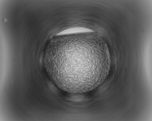 X0000086260185200704122017