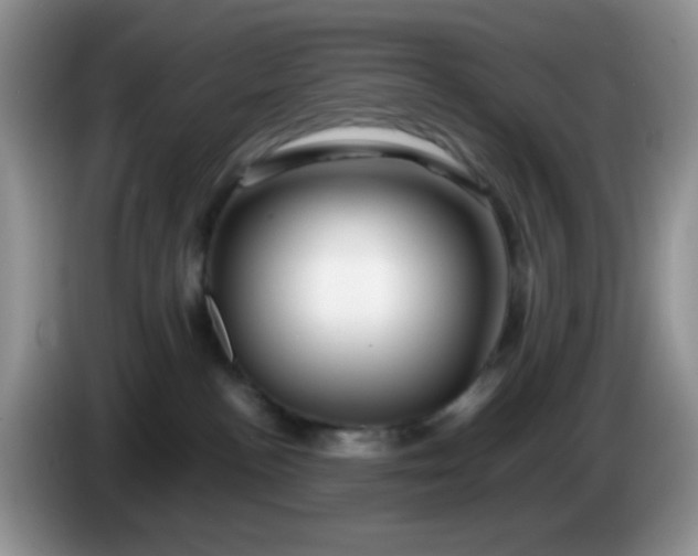 X0000086260188200704122017