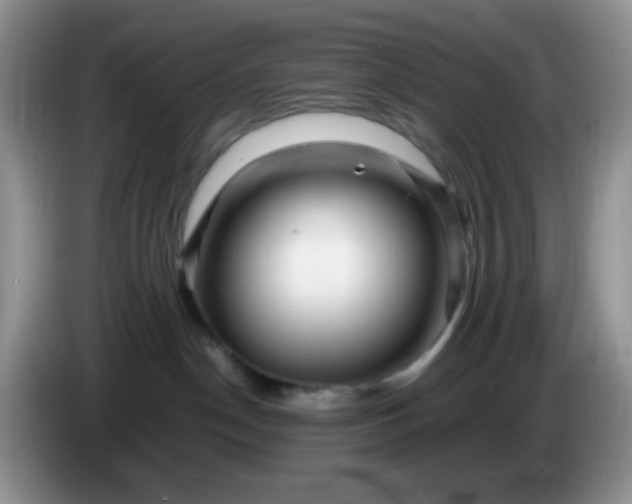 X0000086260190200704122017