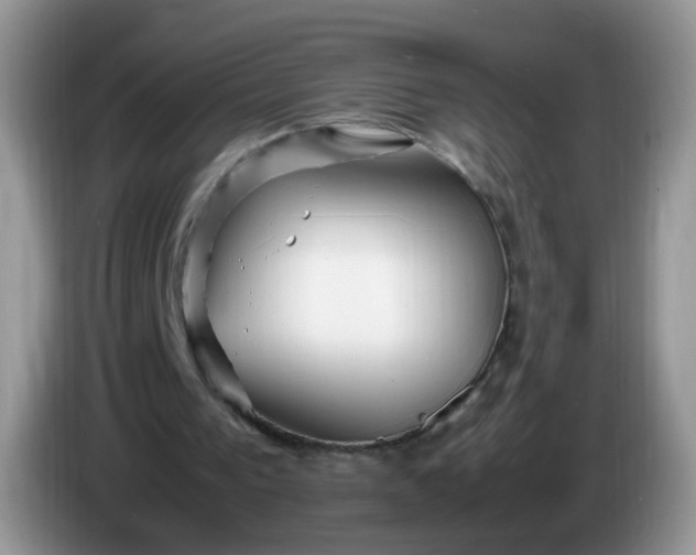 X0000086260193200704122016